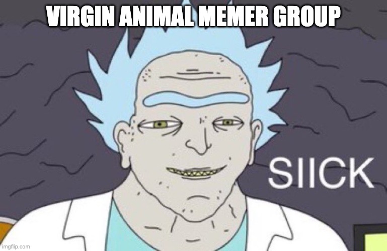 sick | VIRGIN ANIMAL MEMER GROUP | image tagged in sick | made w/ Imgflip meme maker