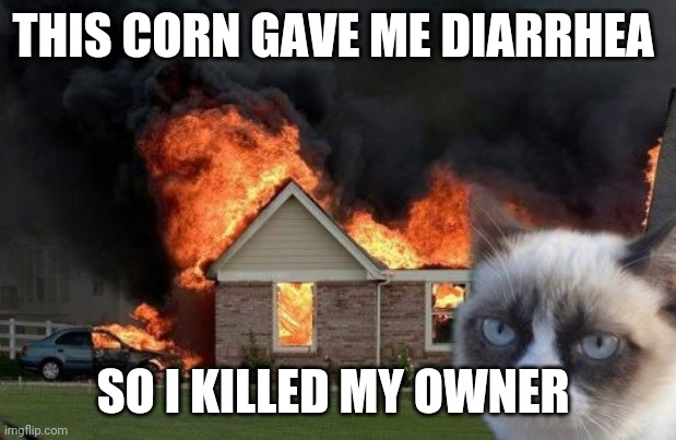 Burn Kitty Meme | THIS CORN GAVE ME DIARRHEA SO I KILLED MY OWNER | image tagged in memes,burn kitty,grumpy cat | made w/ Imgflip meme maker