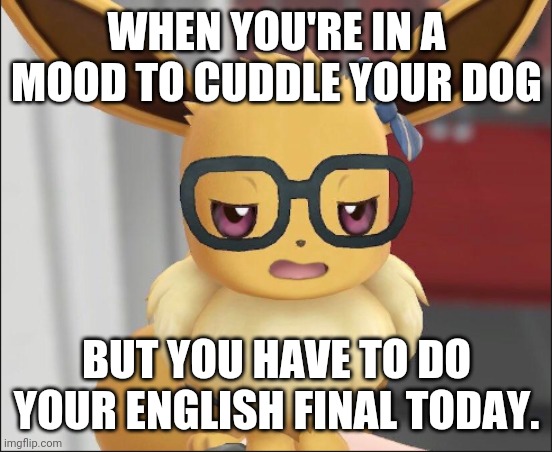 I'm on my own schedule when it comes to school | WHEN YOU'RE IN A MOOD TO CUDDLE YOUR DOG; BUT YOU HAVE TO DO YOUR ENGLISH FINAL TODAY. | image tagged in unimpressed eevee | made w/ Imgflip meme maker