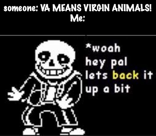 No | someone: VA MEANS VIRGIN ANIMALS!
Me: | image tagged in woah hey pal lets back it up a bit | made w/ Imgflip meme maker