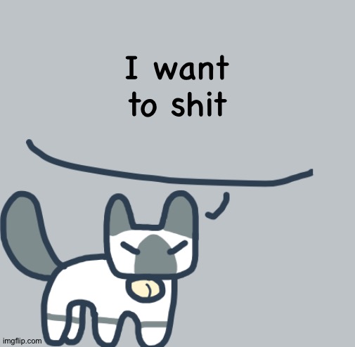 Cat | I want to shit | image tagged in cat | made w/ Imgflip meme maker