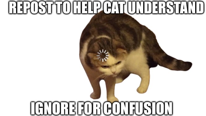 Help | REPOST TO HELP CAT UNDERSTAND; IGNORE FOR CONFUSION | image tagged in loading cat transparent | made w/ Imgflip meme maker