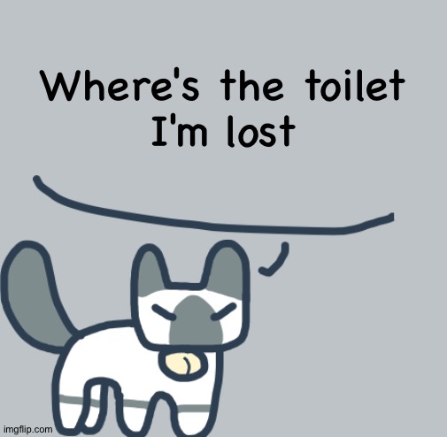 Cat | Where's the toilet
I'm lost | image tagged in cat | made w/ Imgflip meme maker