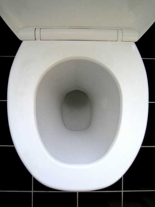 TOILET | image tagged in toilet | made w/ Imgflip meme maker