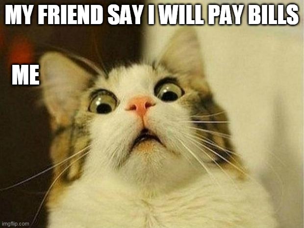 Scared Cat Meme | MY FRIEND SAY I WILL PAY BILLS; ME | image tagged in memes,scared cat | made w/ Imgflip meme maker