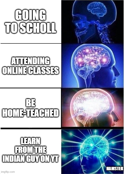 Indian teaches | GOING TO SCHOLL; ATTENDING ONLINE CLASSES; BE HOME-TEACHED; LEARN FROM THE INDIAN GUY ON YT; HAMSTER | image tagged in memes,expanding brain,funny,fun,meme,funny memes | made w/ Imgflip meme maker