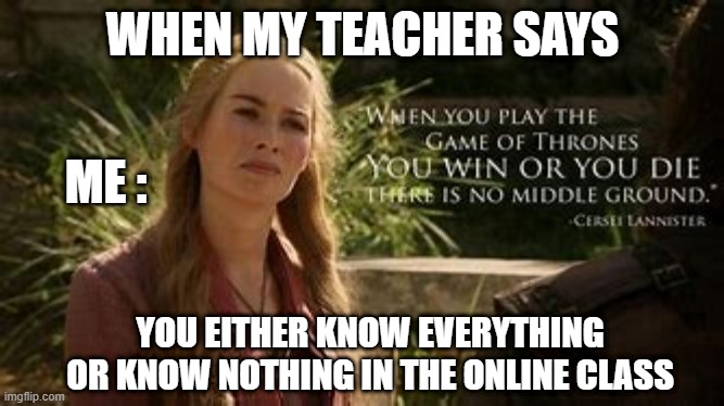 got meme | WHEN MY TEACHER SAYS; ME :; YOU EITHER KNOW EVERYTHING OR KNOW NOTHING IN THE ONLINE CLASS | image tagged in online school | made w/ Imgflip meme maker