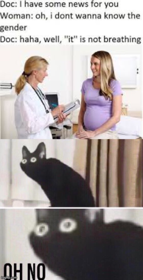 oof | image tagged in oh no cat,dark humor,death,miscarriage | made w/ Imgflip meme maker