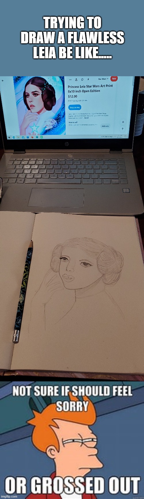 Well, at least you tried... | TRYING TO DRAW A FLAWLESS LEIA BE LIKE..... | image tagged in princess leia,drawing,funny,fail,lol,leia | made w/ Imgflip meme maker