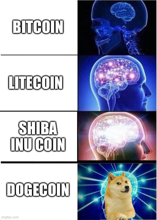 Dogecoin to the moon ? | BITCOIN; LITECOIN; SHIBA INU COIN; DOGECOIN | image tagged in memes,expanding brain,bitcoin,litecoin,shiba inu,dogecoin | made w/ Imgflip meme maker