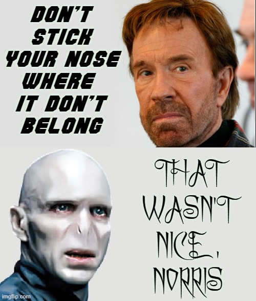 Chuck Norris: Stronger than Magic |  DON'T STICK YOUR NOSE
WHERE 
IT DON'T
BELONG; THAT
WASN'T
NICE  ,
NORRIS | image tagged in vince vance,chuck norris,lord voldemort,harry potter,nosey,memes | made w/ Imgflip meme maker