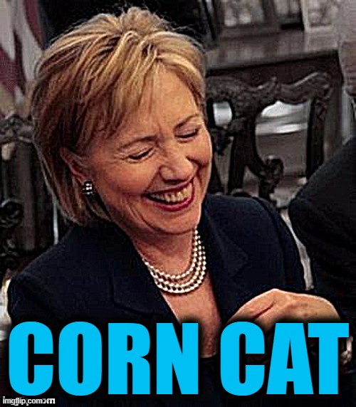 Hillary LOL | CORN CAT | image tagged in hillary lol | made w/ Imgflip meme maker