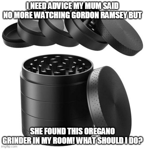 grinder | I NEED ADVICE MY MUM SAID NO MORE WATCHING GORDON RAMSEY BUT; SHE FOUND THIS OREGANO GRINDER IN MY ROOM! WHAT SHOULD I DO? | image tagged in grinder | made w/ Imgflip meme maker
