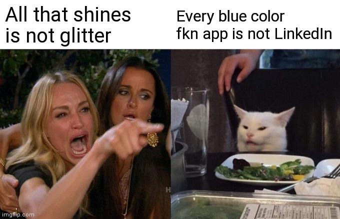 Woman Yelling At Cat | All that shines is not glitter; Every blue color fkn app is not LinkedIn | image tagged in memes,woman yelling at cat | made w/ Imgflip meme maker