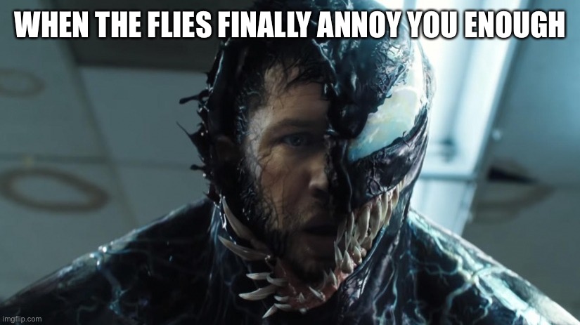 we are venom | WHEN THE FLIES FINALLY ANNOY YOU ENOUGH | image tagged in we are venom | made w/ Imgflip meme maker