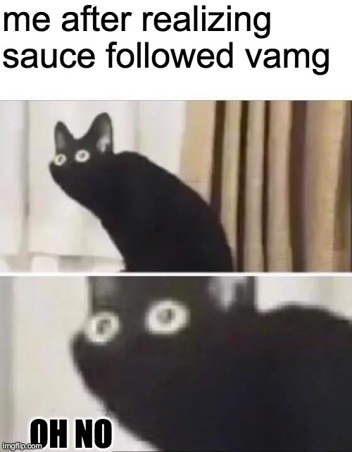 potato potahto, who knows how the word realize is spelled | me after realizing sauce followed vamg; OH NO | image tagged in oh no black cat | made w/ Imgflip meme maker