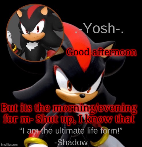 .-Yosh-.'s Shadow Temp | Good afternoon; But its the morning/evening for m- Shut up, I know that | image tagged in -yosh- 's shadow temp | made w/ Imgflip meme maker