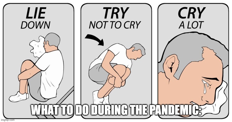 when will this ever end | WHAT TO DO DURING THE PANDEMIC: | image tagged in try not to cry | made w/ Imgflip meme maker