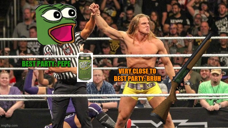 Bruh and pepe for the win! | BEST PARTY: PEPE; VERY CLOSE TO BEST PARTY: BRUH | image tagged in matt riddle,vote pepe party,vote bruh party | made w/ Imgflip meme maker
