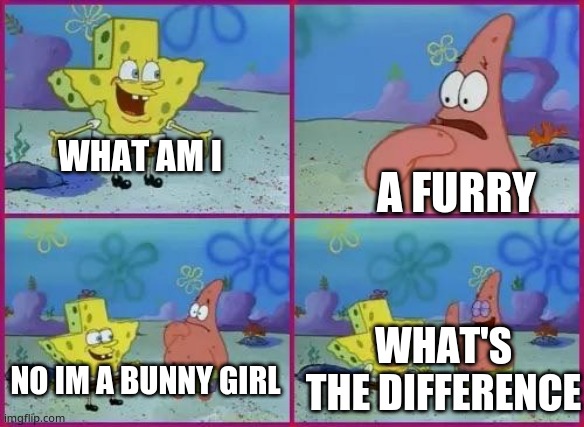 Texas Spongebob | WHAT AM I A FURRY NO IM A BUNNY GIRL WHAT'S THE DIFFERENCE | image tagged in texas spongebob | made w/ Imgflip meme maker