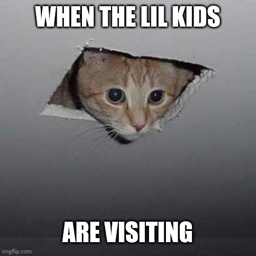 Ceiling Cat | WHEN THE LIL KIDS; ARE VISITING | image tagged in memes,ceiling cat | made w/ Imgflip meme maker