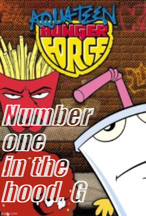 High Quality Aqua Teen Hunger Force Number One in the Hood G Blank Meme Template