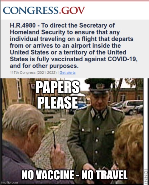 Goodbye HIPPA, and along with it - your freedom to travel | PAPERS PLEASE; NO VACCINE - NO TRAVEL | image tagged in papers please,covid vaccine,travel ban | made w/ Imgflip meme maker