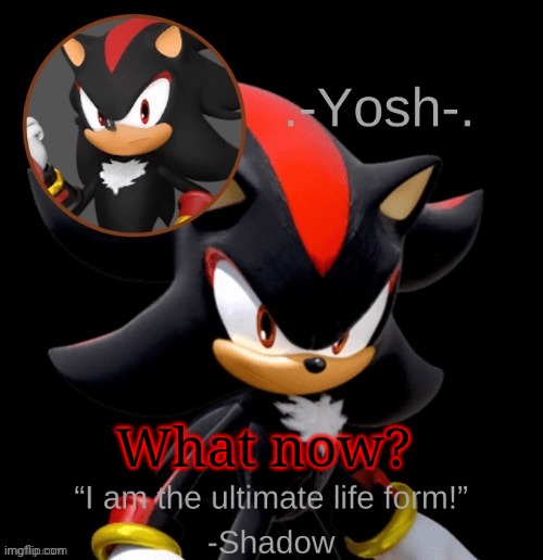 .-Yosh-.'s Shadow Temp | What now? | image tagged in -yosh- 's shadow temp | made w/ Imgflip meme maker