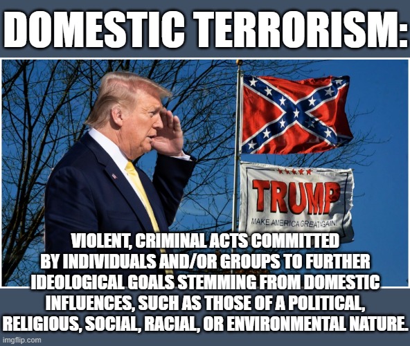 DOMESTIC TERRORISM | DOMESTIC TERRORISM:; VIOLENT, CRIMINAL ACTS COMMITTED BY INDIVIDUALS AND/OR GROUPS TO FURTHER IDEOLOGICAL GOALS STEMMING FROM DOMESTIC INFLUENCES, SUCH AS THOSE OF A POLITICAL, RELIGIOUS, SOCIAL, RACIAL, OR ENVIRONMENTAL NATURE. | image tagged in domestic,terrorism,terrorist,trump,republican,confederate | made w/ Imgflip meme maker