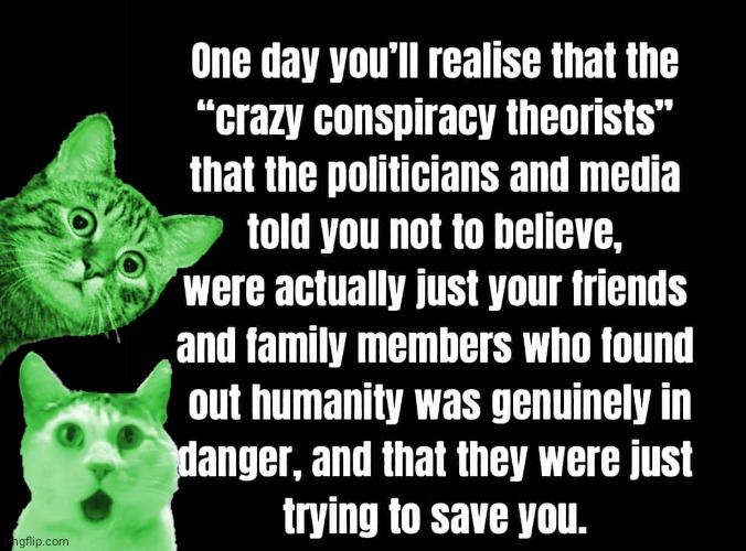 Conspiracy Cats | image tagged in black box | made w/ Imgflip meme maker