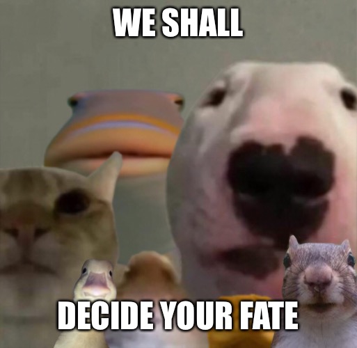 The council remastered | WE SHALL; DECIDE YOUR FATE | image tagged in the council remastered | made w/ Imgflip meme maker