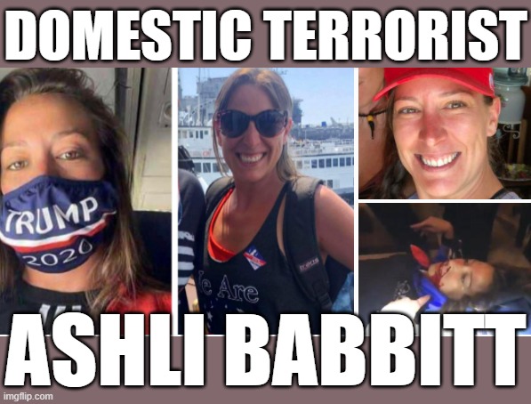 DOMESTIC TERRORIST | DOMESTIC TERRORIST; ASHLI BABBITT | image tagged in domestic,terrorist,traitor,trump,ashli babbitt,republican | made w/ Imgflip meme maker