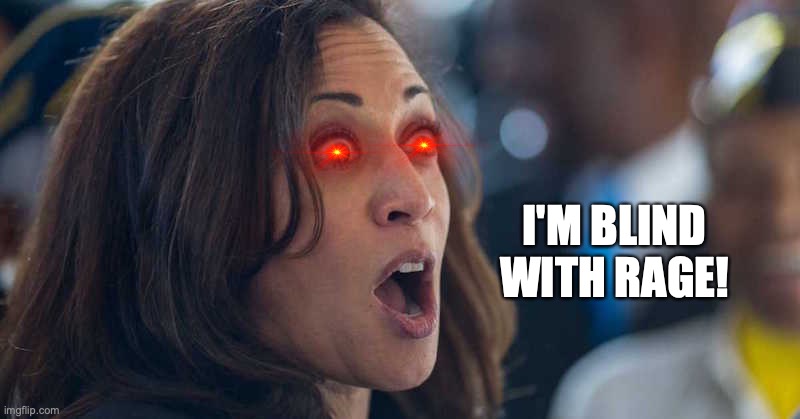 kamala harriss | I'M BLIND WITH RAGE! | image tagged in kamala harriss | made w/ Imgflip meme maker