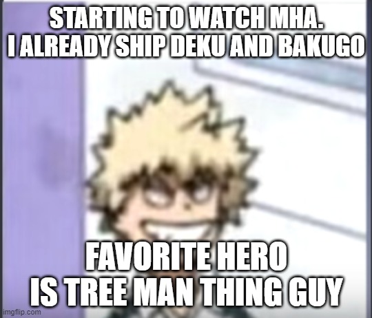 Bakugo sero smile | STARTING TO WATCH MHA. I ALREADY SHIP DEKU AND BAKUGO; FAVORITE HERO IS TREE MAN THING GUY | image tagged in bakugo sero smile | made w/ Imgflip meme maker