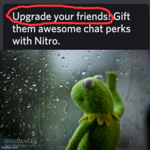 Time for better friends | image tagged in kermit window | made w/ Imgflip meme maker