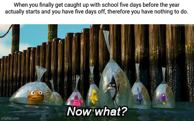 Uhh... | When you finally get caught up with school five days before the year actually starts and you have five days off, therefore you have nothing to do. | image tagged in now what | made w/ Imgflip meme maker