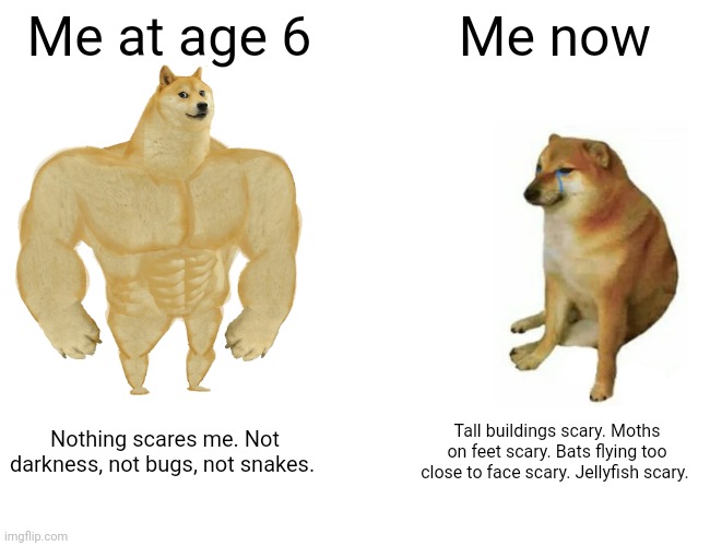 Wow. My emotions have gotten more intense over the years. | Me at age 6; Me now; Nothing scares me. Not darkness, not bugs, not snakes. Tall buildings scary. Moths on feet scary. Bats flying too close to face scary. Jellyfish scary. | image tagged in memes,buff doge vs cheems | made w/ Imgflip meme maker