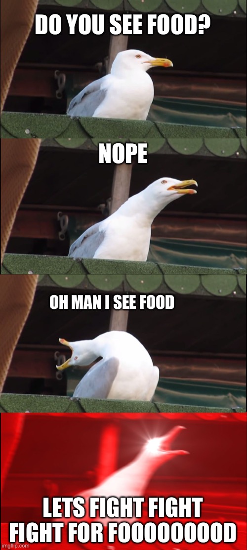 Inhaling Seagull | DO YOU SEE FOOD? NOPE; OH MAN I SEE FOOD; LETS FIGHT FIGHT FIGHT FOR FOOOOOOOOD | image tagged in inhaling seagull,seagull,typical,dumb animals | made w/ Imgflip meme maker