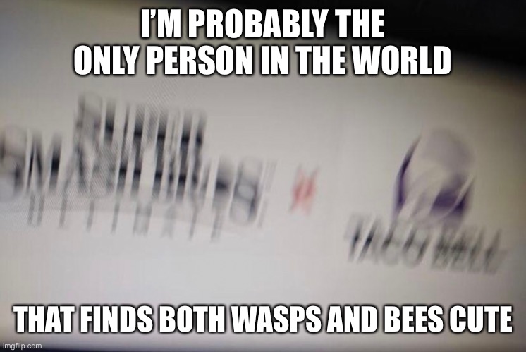 Bees are more cute than wasps by a lot though | I’M PROBABLY THE ONLY PERSON IN THE WORLD; THAT FINDS BOTH WASPS AND BEES CUTE | made w/ Imgflip meme maker