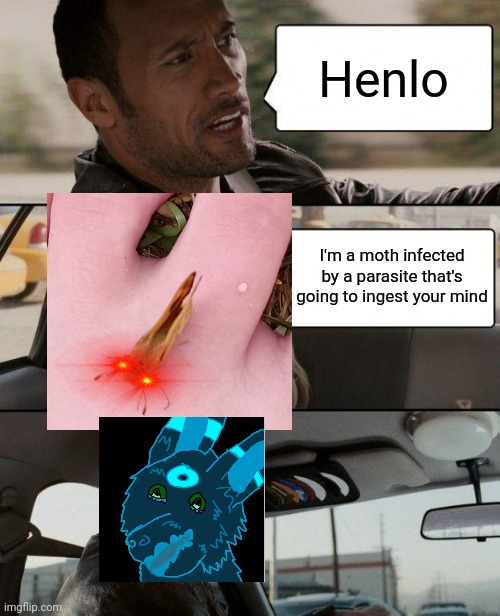 That was my thought when it just landed on my foot. | Henlo; I'm a moth infected by a parasite that's going to ingest your mind | image tagged in memes,the rock driving | made w/ Imgflip meme maker