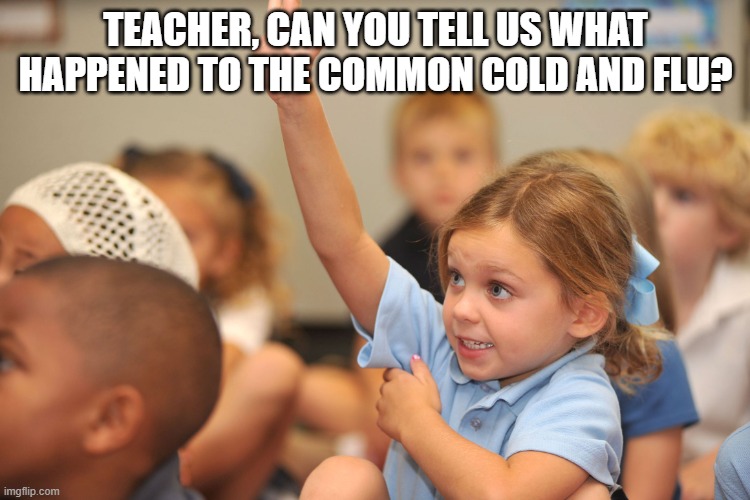 Hand raised | TEACHER, CAN YOU TELL US WHAT HAPPENED TO THE COMMON COLD AND FLU? | image tagged in hand raised | made w/ Imgflip meme maker