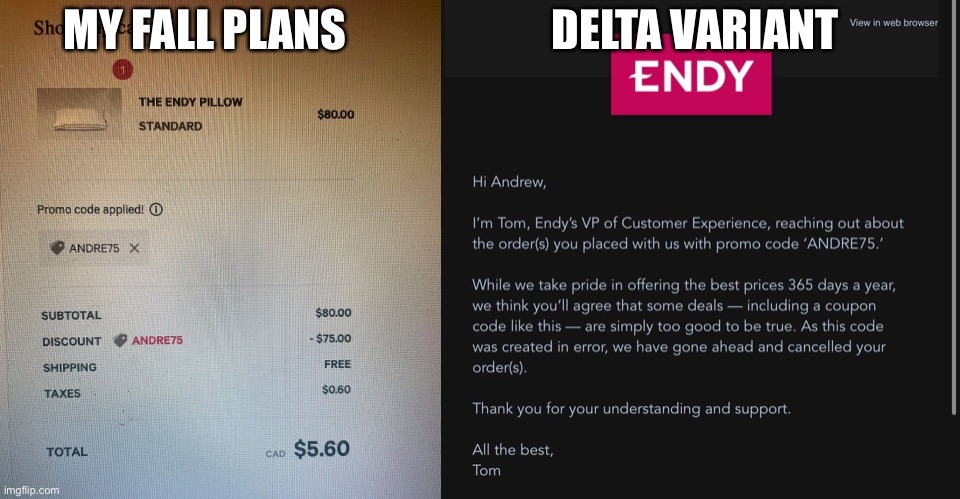 Delta variant endy | DELTA VARIANT; MY FALL PLANS | image tagged in memes,delta | made w/ Imgflip meme maker
