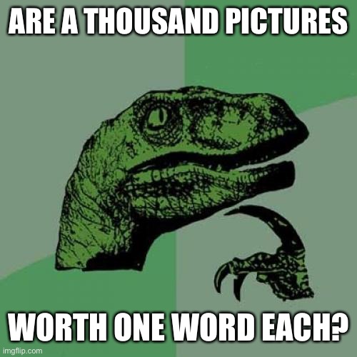Philosoraptor Meme | ARE A THOUSAND PICTURES; WORTH ONE WORD EACH? | image tagged in memes,philosoraptor | made w/ Imgflip meme maker