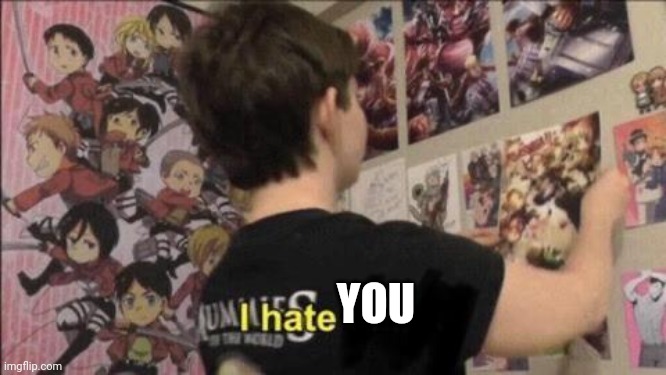 I hate anime | YOU | image tagged in i hate anime | made w/ Imgflip meme maker