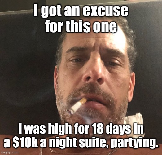 Hunter Biden | I got an excuse for this one I was high for 18 days in a $10k a night suite, partying. | image tagged in hunter biden | made w/ Imgflip meme maker