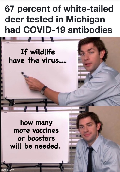 Just wondering | If wildlife have the virus..... how many more vaccines or boosters will be needed. | image tagged in smug jim explains,politics lol,covid-19 | made w/ Imgflip meme maker