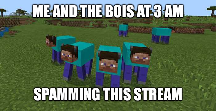 me and the boys | ME AND THE BOIS AT 3 AM; SPAMMING THIS STREAM | image tagged in me and the boys | made w/ Imgflip meme maker