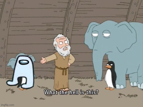 What the hell is this? | image tagged in what the hell is this | made w/ Imgflip meme maker
