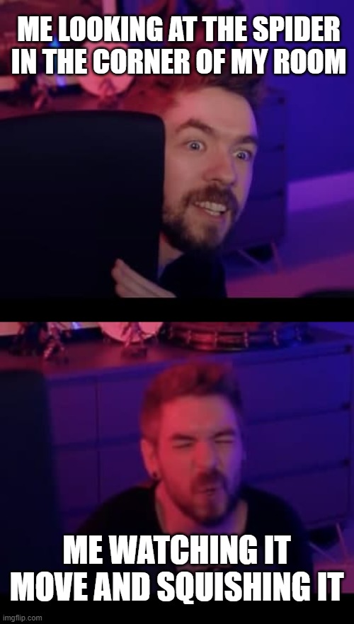 Sean le squish | ME LOOKING AT THE SPIDER IN THE CORNER OF MY ROOM; ME WATCHING IT MOVE AND SQUISHING IT | image tagged in jacksepticeye | made w/ Imgflip meme maker