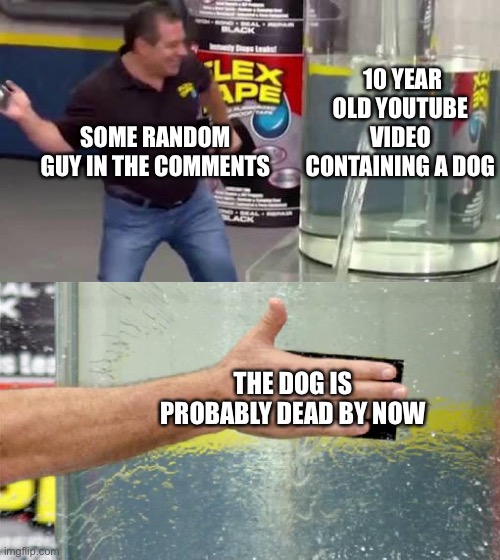 Flex Tape | 10 YEAR OLD YOUTUBE VIDEO CONTAINING A DOG; SOME RANDOM GUY IN THE COMMENTS; THE DOG IS PROBABLY DEAD BY NOW | image tagged in flex tape,youtube,youtube comments | made w/ Imgflip meme maker